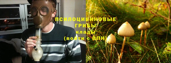 кокс Алексин