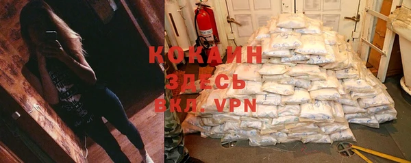 крисы Алексеевка