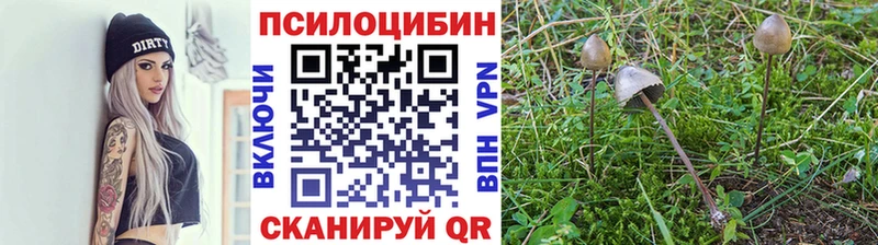 Псилоцибиновые грибы GOLDEN TEACHER  Хадыженск 